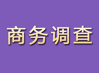 亳州商务调查